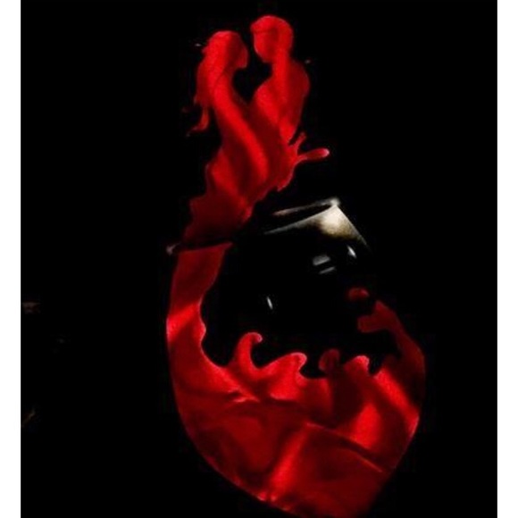 The amor